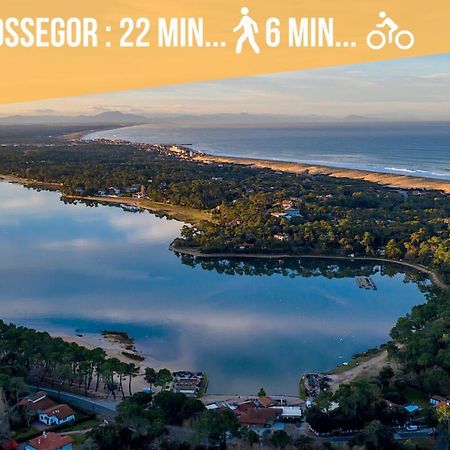 Magnifique Vue Océan - Plage -Surf - Famille Soorts-Hossegor Extérieur photo