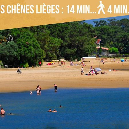 Magnifique Vue Océan - Plage -Surf - Famille Soorts-Hossegor Extérieur photo