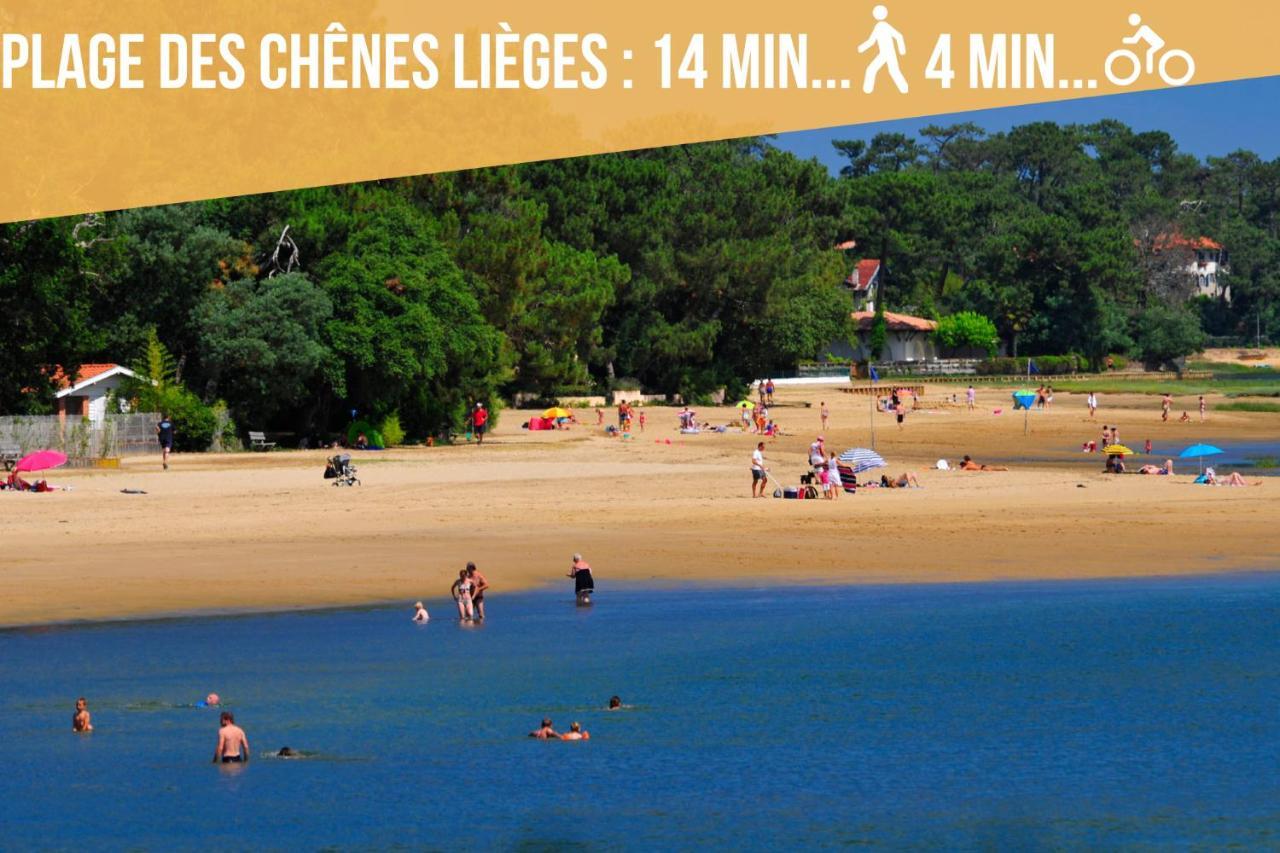 Magnifique Vue Océan - Plage -Surf - Famille Soorts-Hossegor Extérieur photo